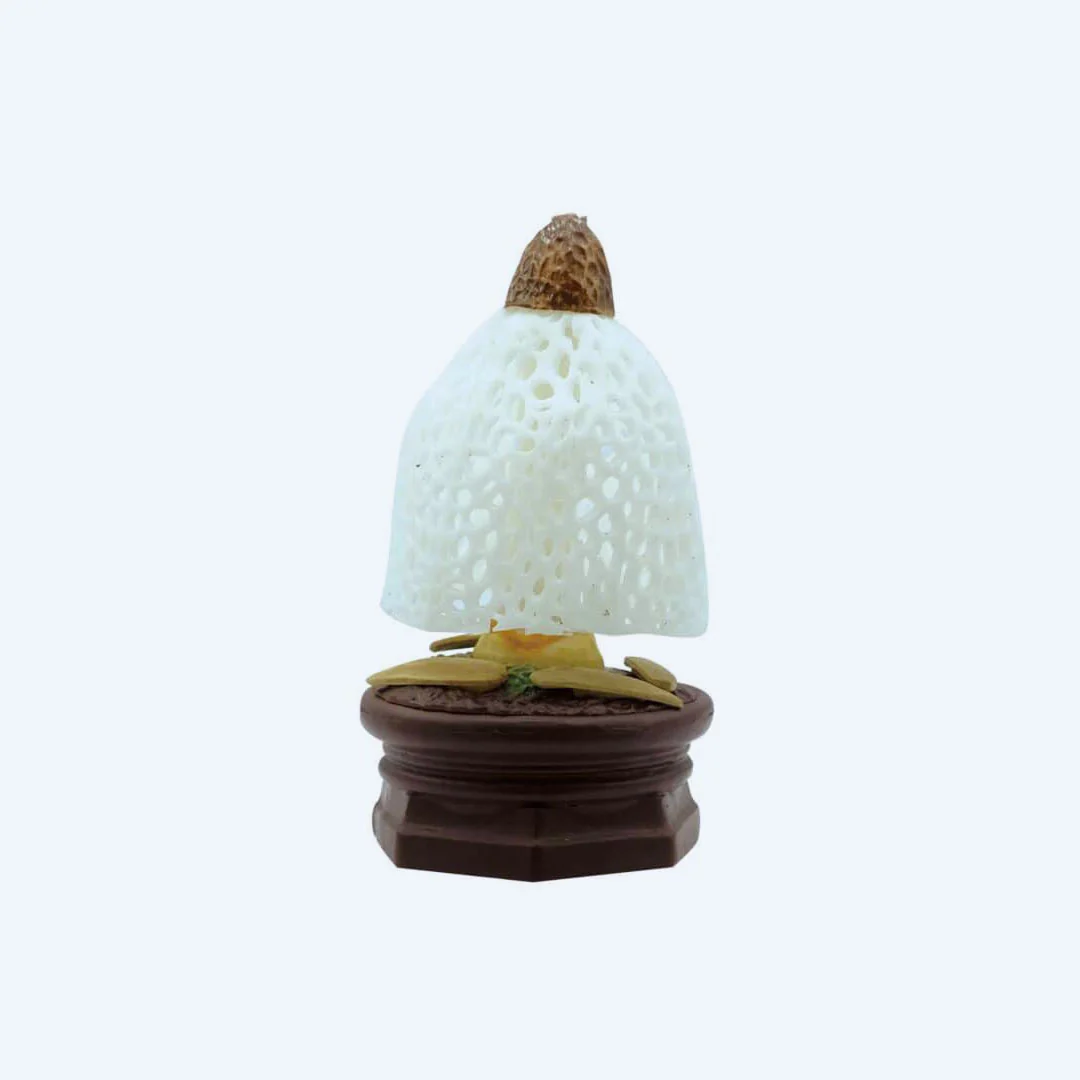 Mushroom Garden Blind Box Version 1 - Image 4