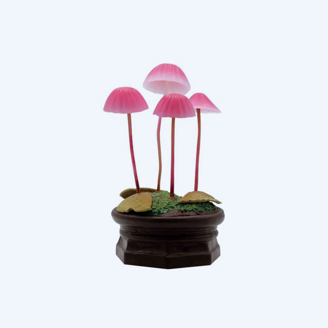 Mushroom Garden Blind Box Version 1 - Image 5