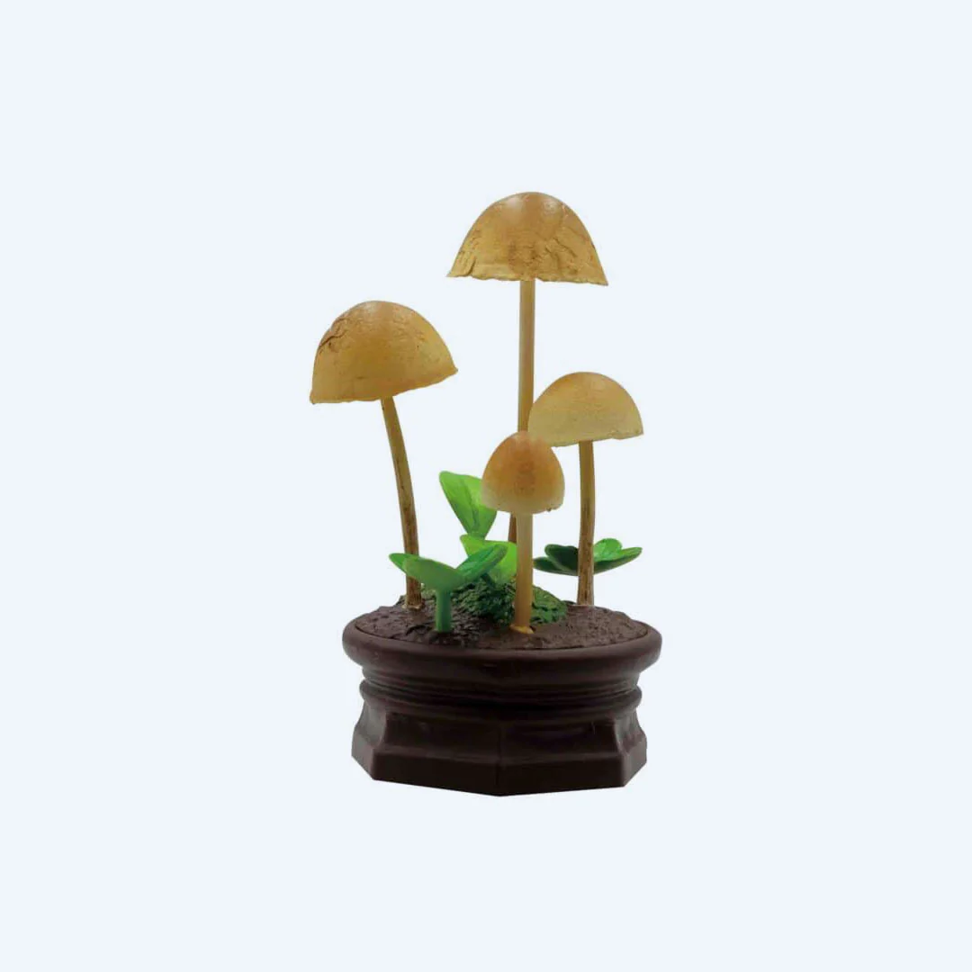Mushroom Garden Blind Box Version 1 - Image 6