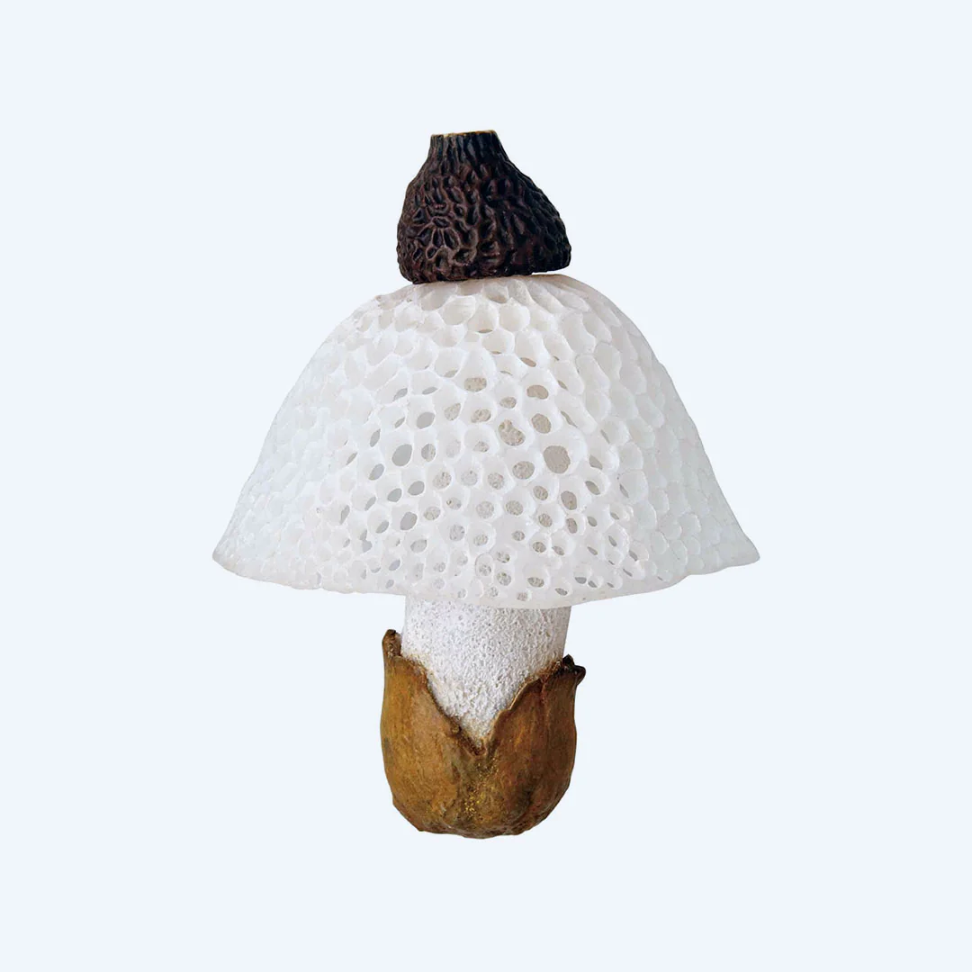 Mushroom Soft Rubber Charm Blind Box - Image 10