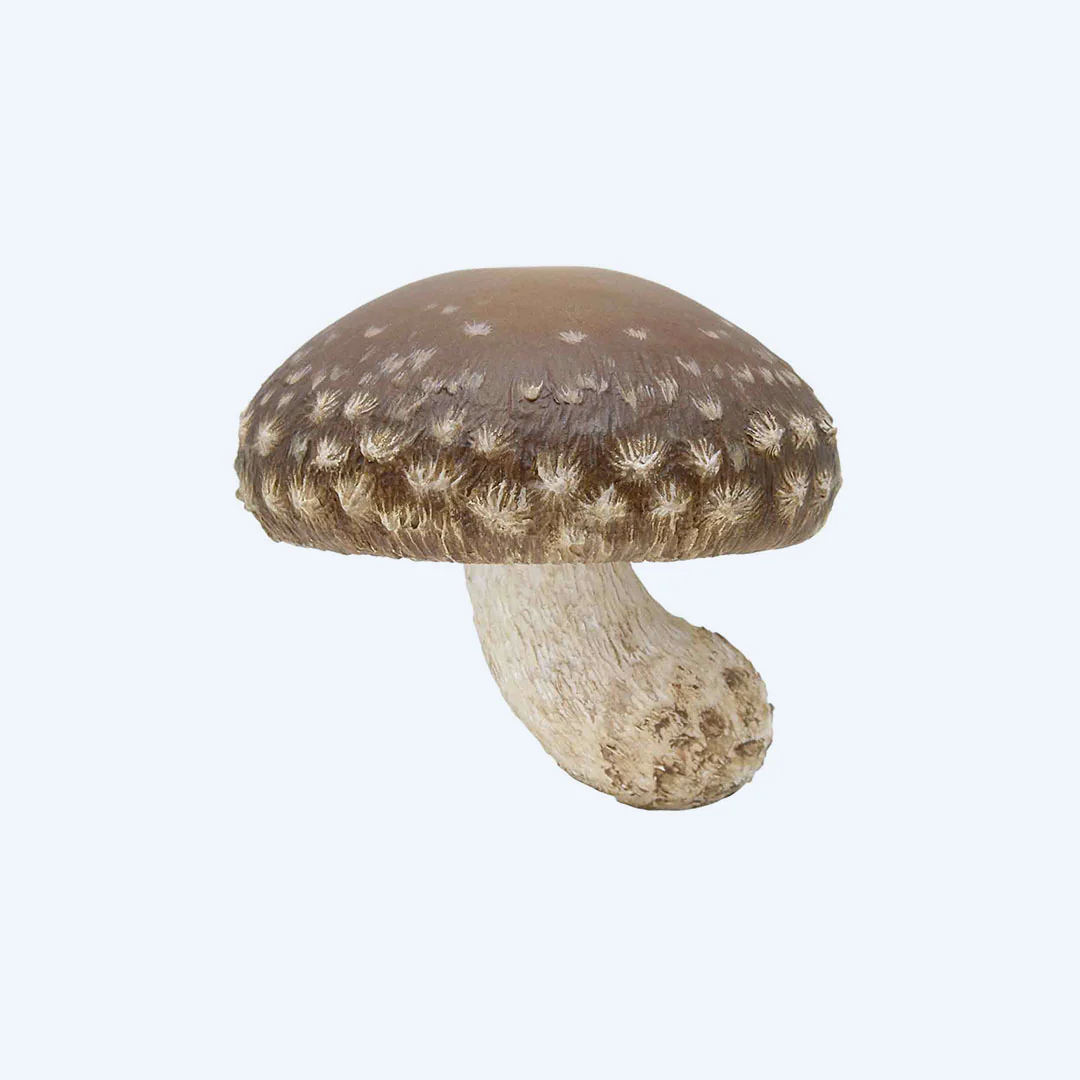 Mushroom Soft Rubber Charm Blind Box - Image 3
