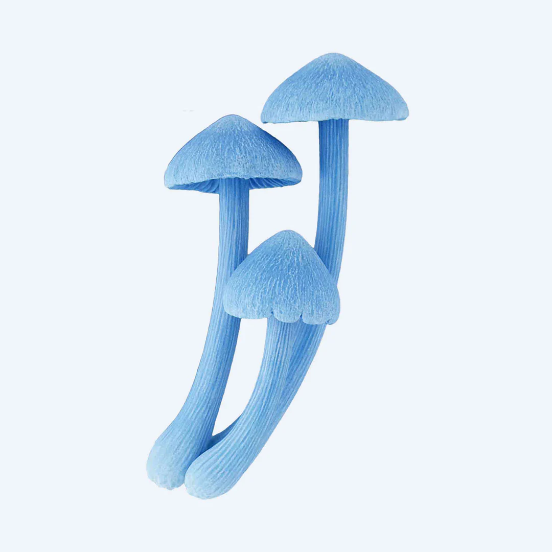 Mushroom Soft Rubber Charm Blind Box - Image 6