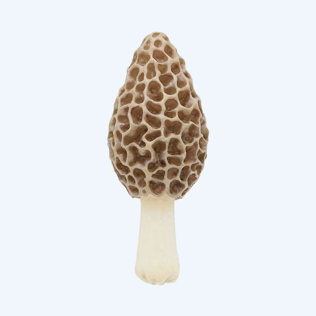 Mushroom Soft Rubber Charm Blind Box - Image 8